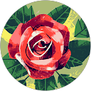 Anusha Mittal profile picture